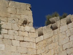 Castillo de Mula 2010